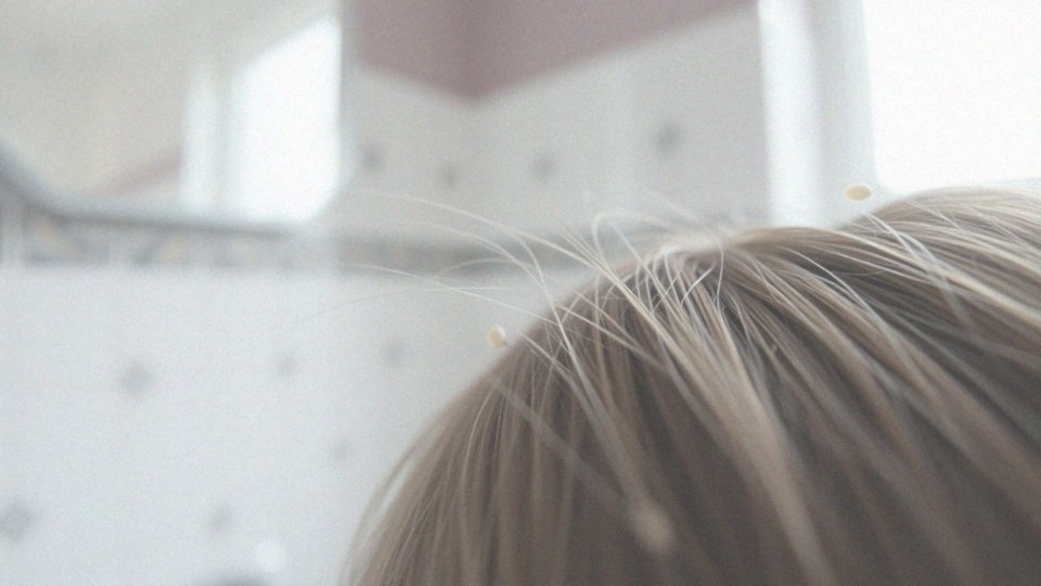 Jakie są cykle rozwojowe wszy?