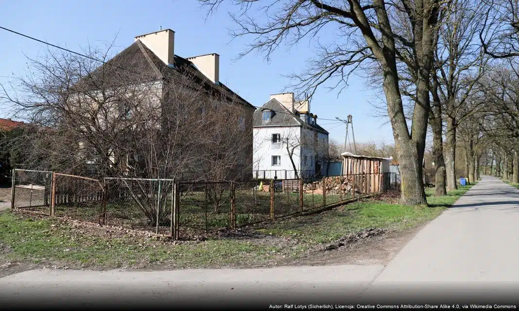 Nowe oświetlenie przy drodze Niedźwiada-Mała już działa